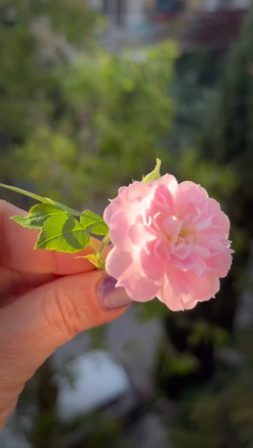 Every flower is unique. And so are you!
One of a kind handmade pieces. 🌸